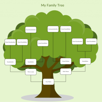 Illustration of a family tree with a large green tree in the background. The tree shows hierarchical family relationships with labels for great-grandparents, grandparents, parents, and the person labeled "Your Name" at the base, connected by branches. A banner reads "Family Foundation Fund" to emphasize heritage.
