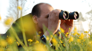 A person with short hair is lying on the ground amid yellow flowers, looking through binoculars. The background is blurred, featuring a soft-focus outdoor setting that distracts from inflation worries.