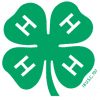 4 h 4 h