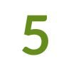 the number 5