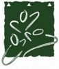 logo-valley-springs logo-valley-springs