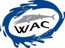 warsaw aquatic club